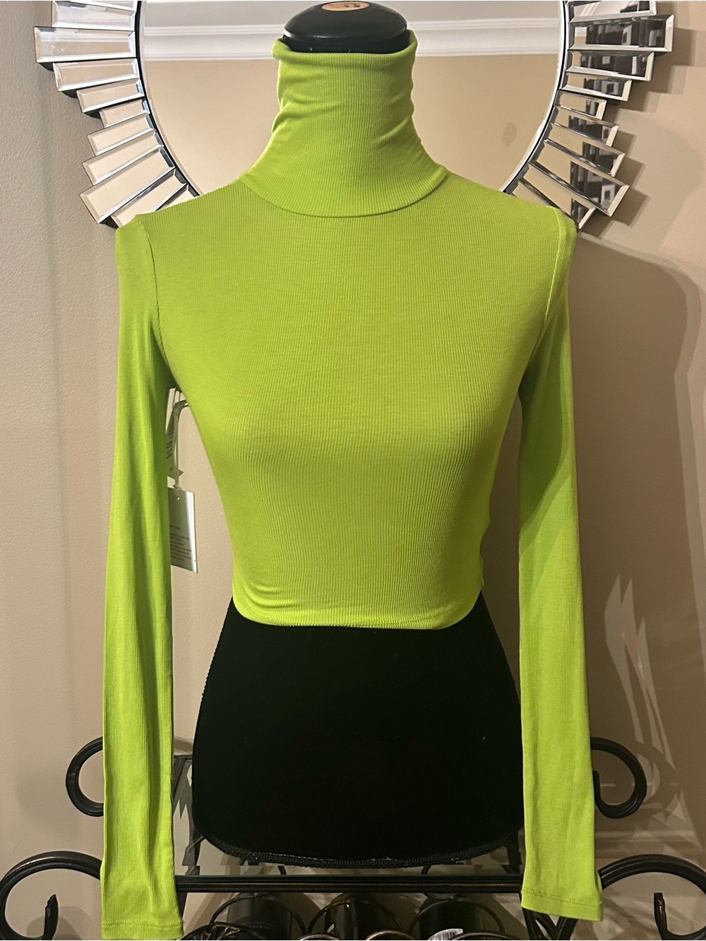 Aritzia Turtleneck Crop Top